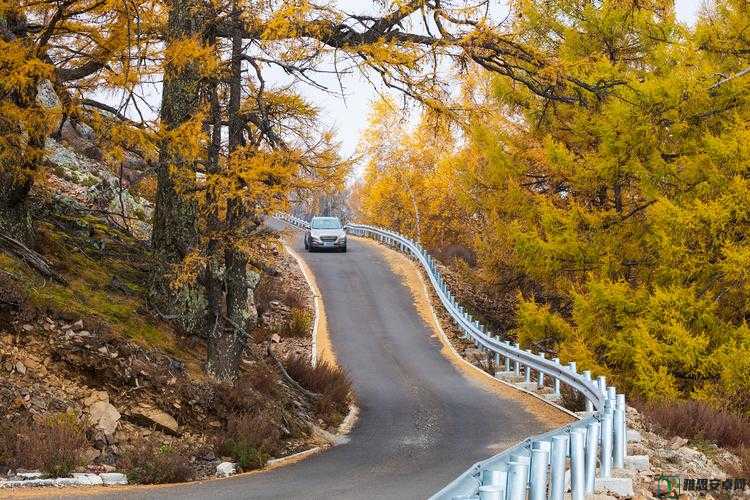 永久回家地址：那个承载着无尽温暖与回忆的心灵港湾